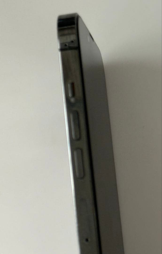 iPhone13 ProMax 256GB SIMフリー　おまけケース付き
