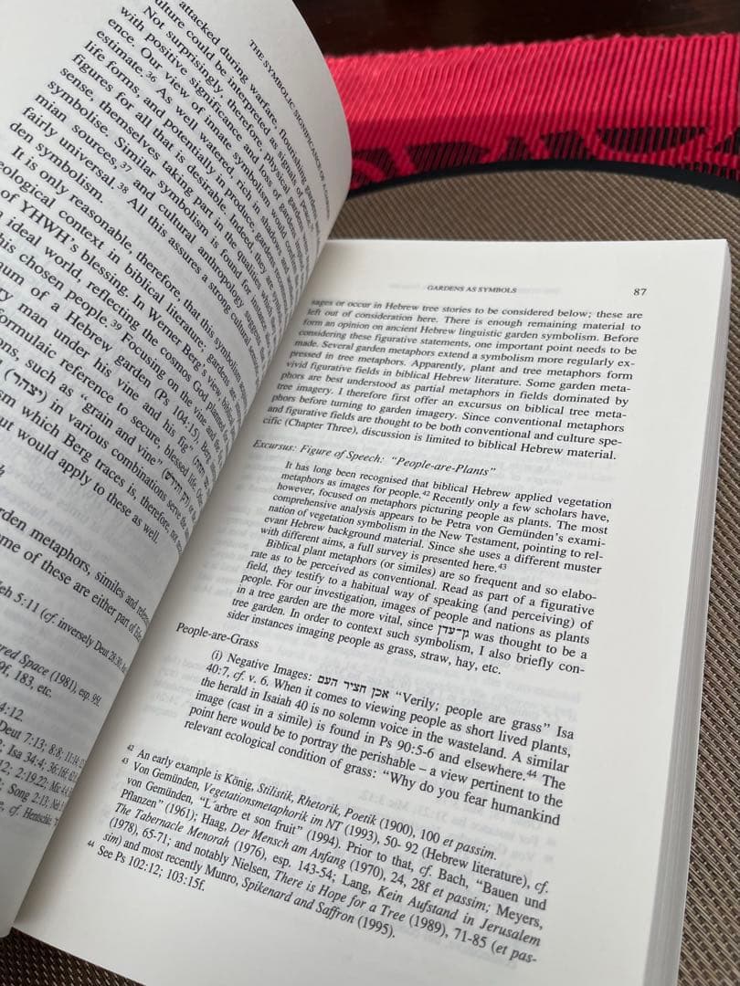 洋書 Echoes of Eden by T. Stordalen
