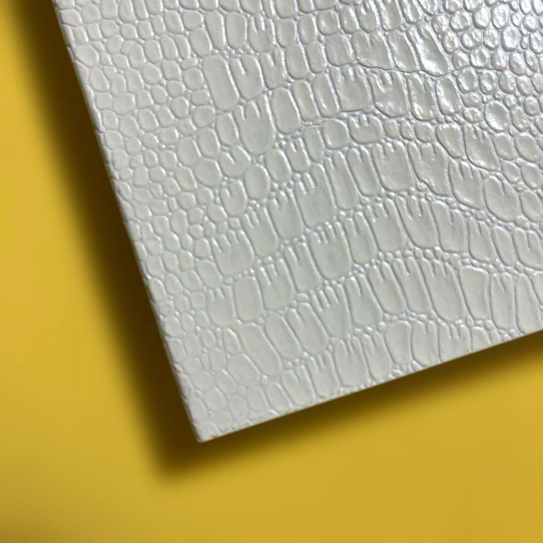 【初版】川内倫子 Rinko Kawauchi 写真集 AILA, アイーラ