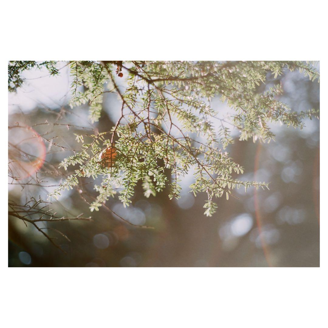 完動 ASAHI PENTAX SP 一眼レフカメラ 箱付き