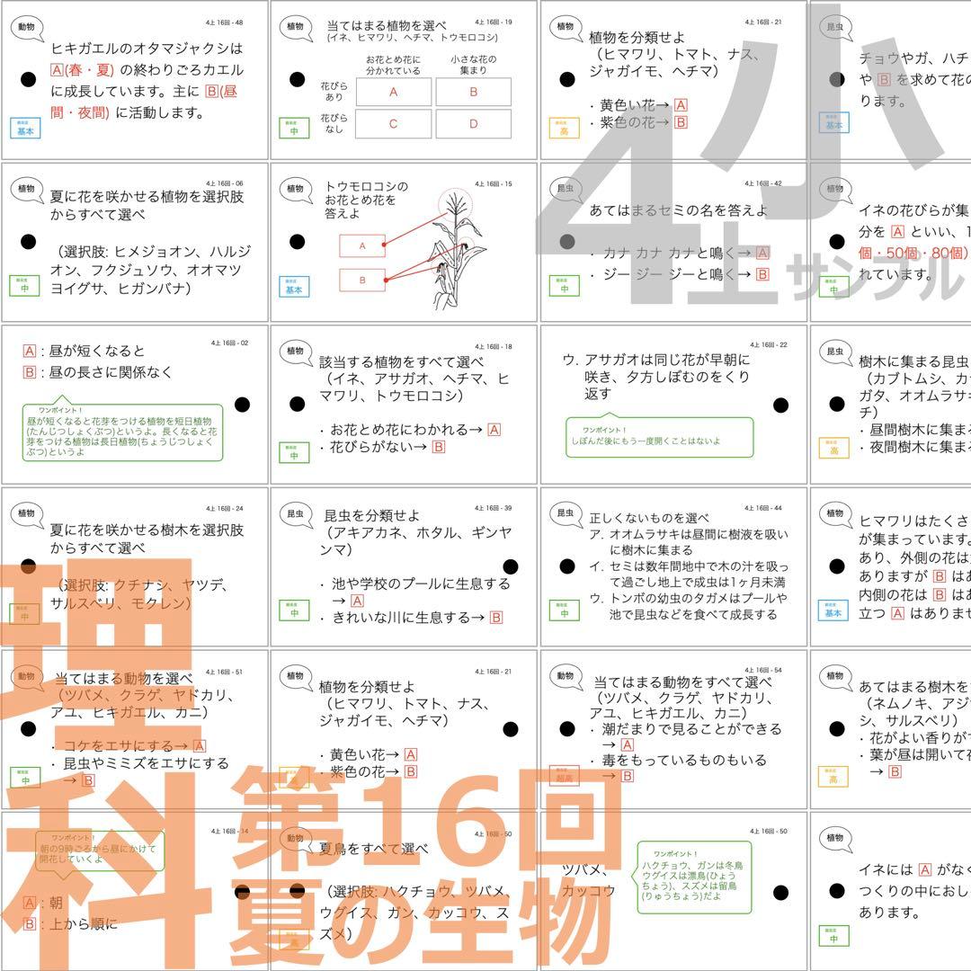 中学受験 暗記カード【4年上 社会・理科 16-19回】組分けテスト対策 予シリ