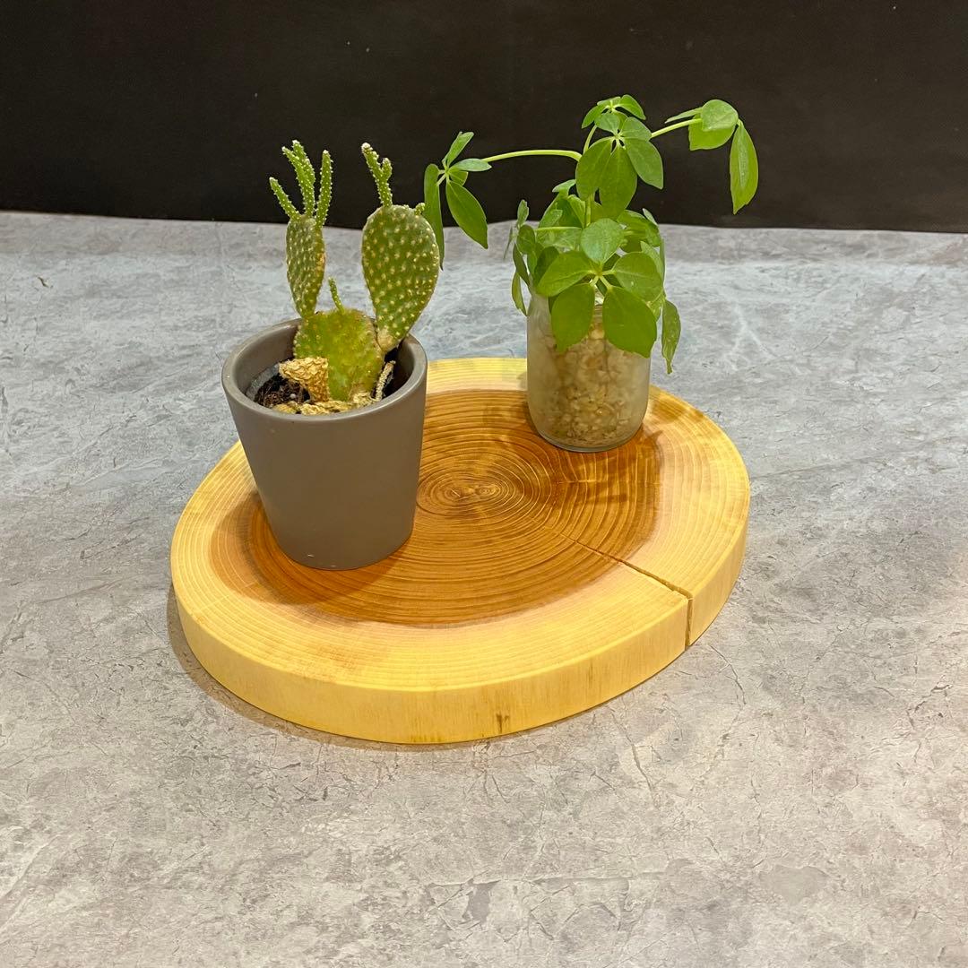 置物 AYA