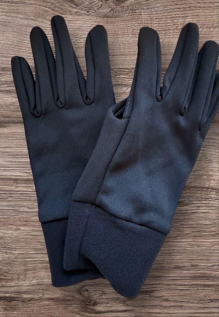 新品　DAKINE GORE-TEX ゴアテックス グローブ CAR M