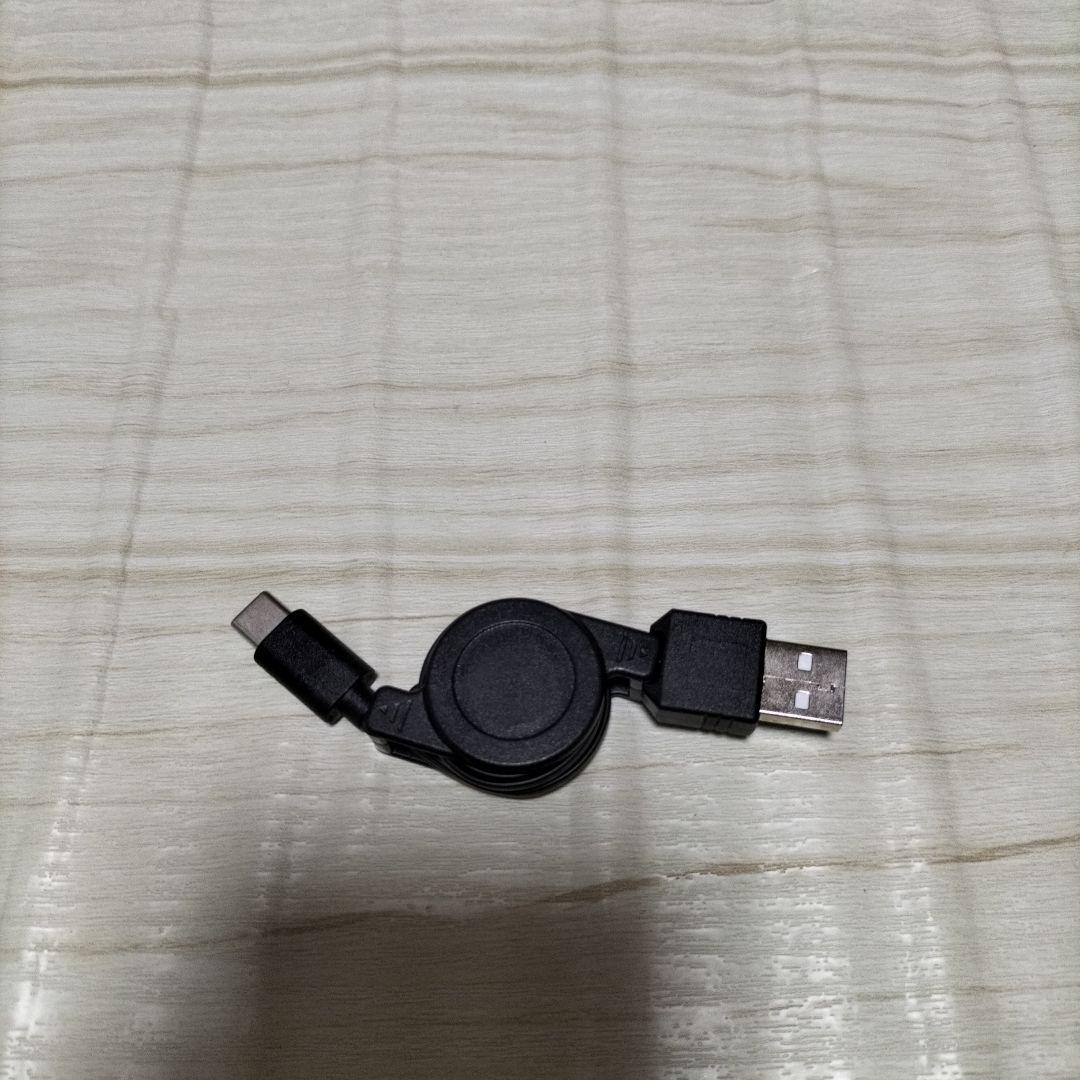 未使用　展示品　スイッチライト　ザシアン　ザマゼンタ