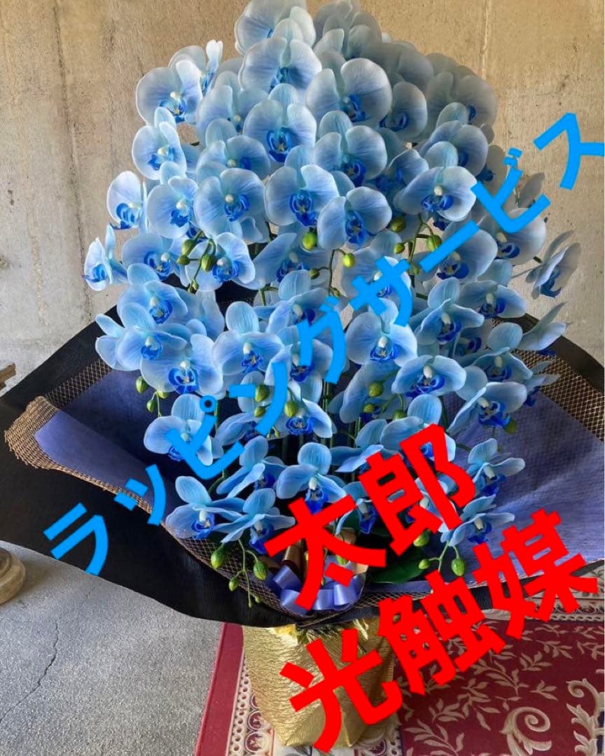 光触媒　人工観葉植物　ウォールグリーン　フェイクグリーン　リアル胡蝶蘭１０本't