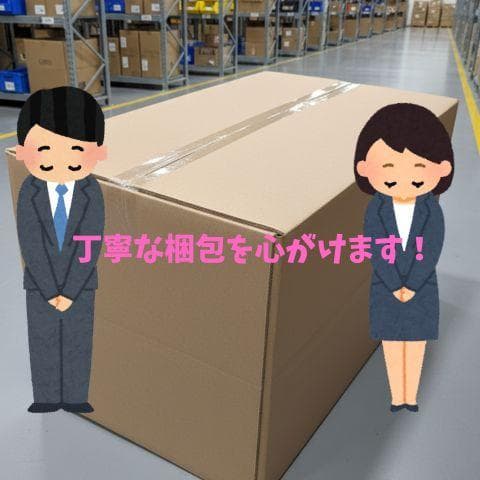 BRUNO ブルーノ コンパクトホットプレート 本体 プレート2種(たこ焼き *