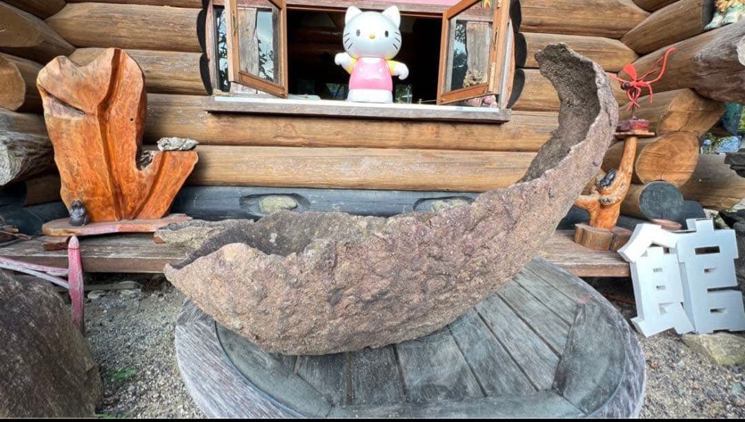 特殊な鉢　京鞍馬風手造り鉢 粋な鉢　変わり樹形に　77センチ