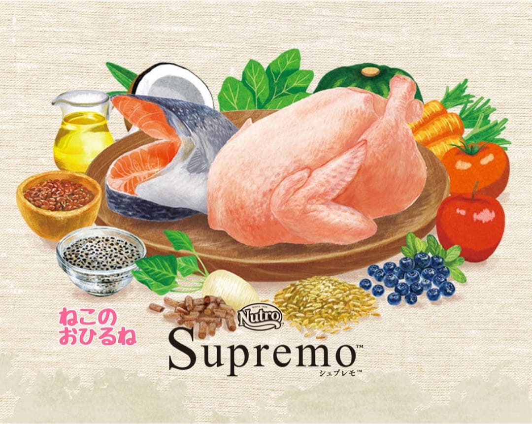 ニュートロ　シュプレモ　成猫用（チキン&サーモン）3kgパック×４袋