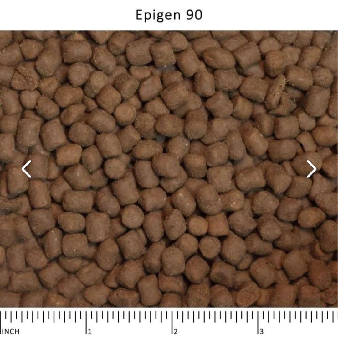 キャットフード aimer WYSON Cat Food 2.27kg x4