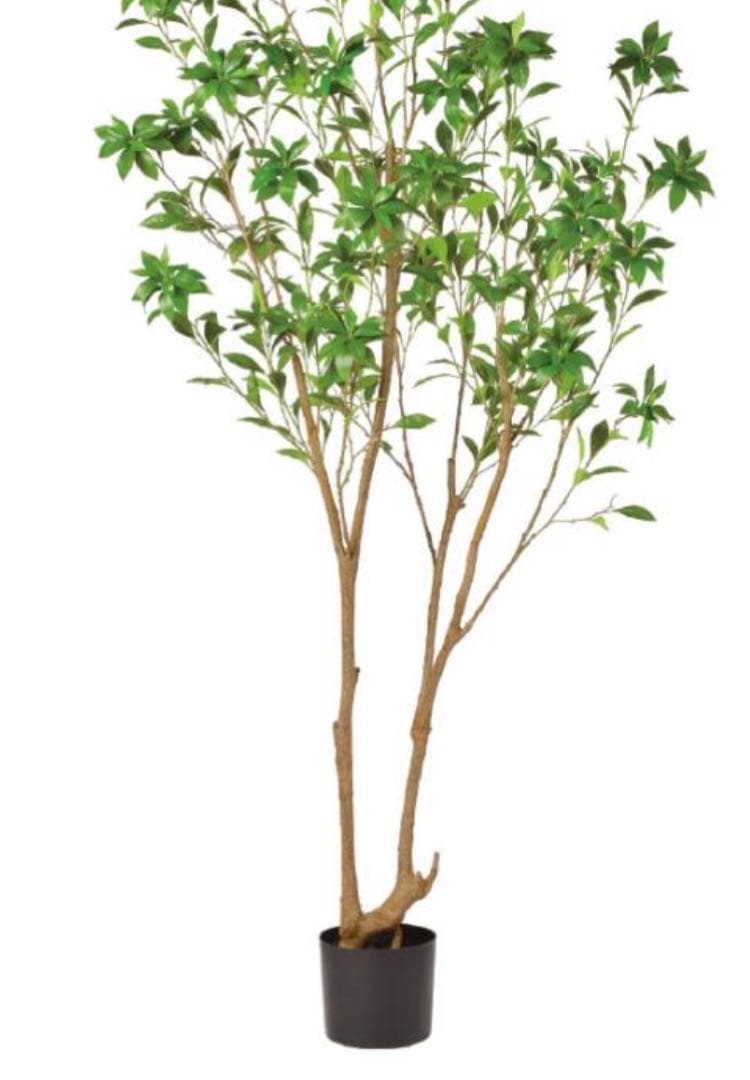 光触媒　人工観葉植物　ウォールグリーン　フェイクグリーン　アセビ215gg