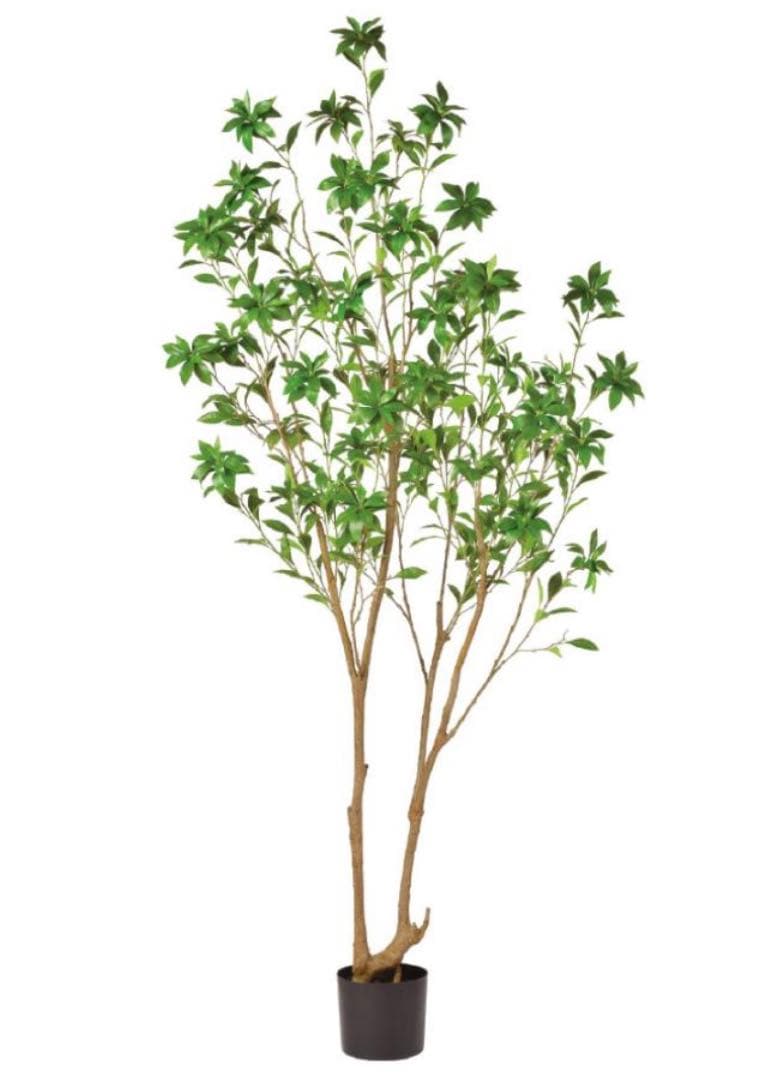 光触媒　人工観葉植物　ウォールグリーン　フェイクグリーン　アセビ215gg