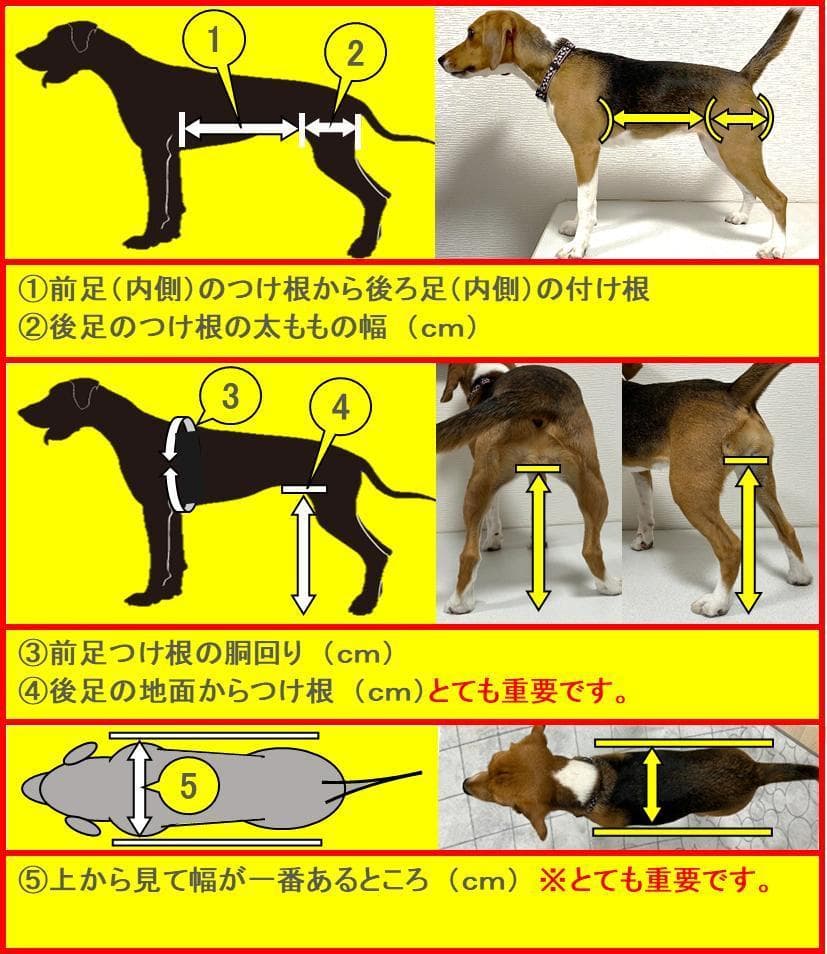 犬の車椅子、ミニュチワダックス用4輪車、犬用車椅子