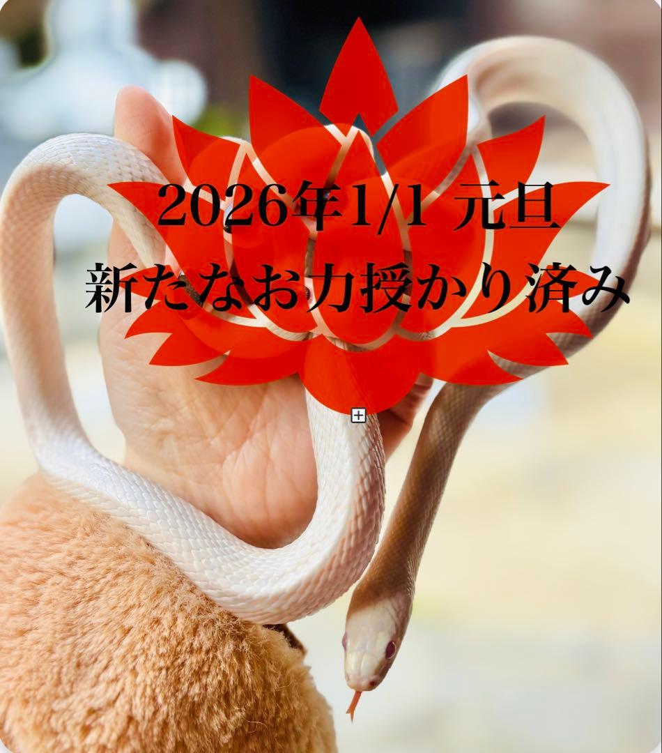 激レア♥ライトニング神秘レムリアンシードクォーツ…☪︎*更に龍神様が潜む虹入り♥
