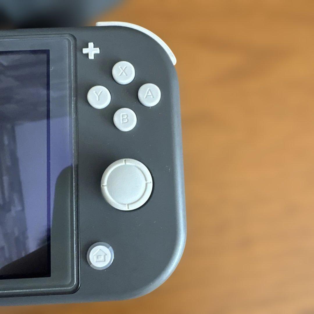 NintendoSwitchLiteグレー 本体　充電器SDカードスタンド付き