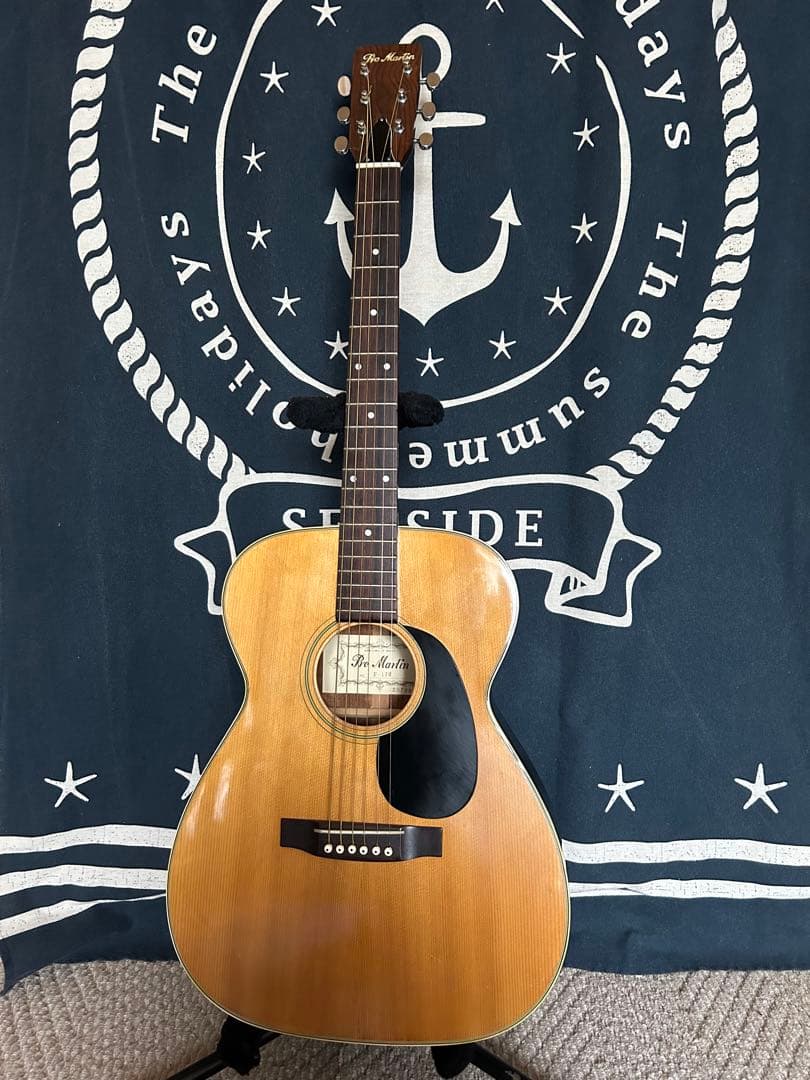 最終特価❣️極美品❣️70s 国産ビンテージ❣️ProMartin Ｆ-170 良音❣️