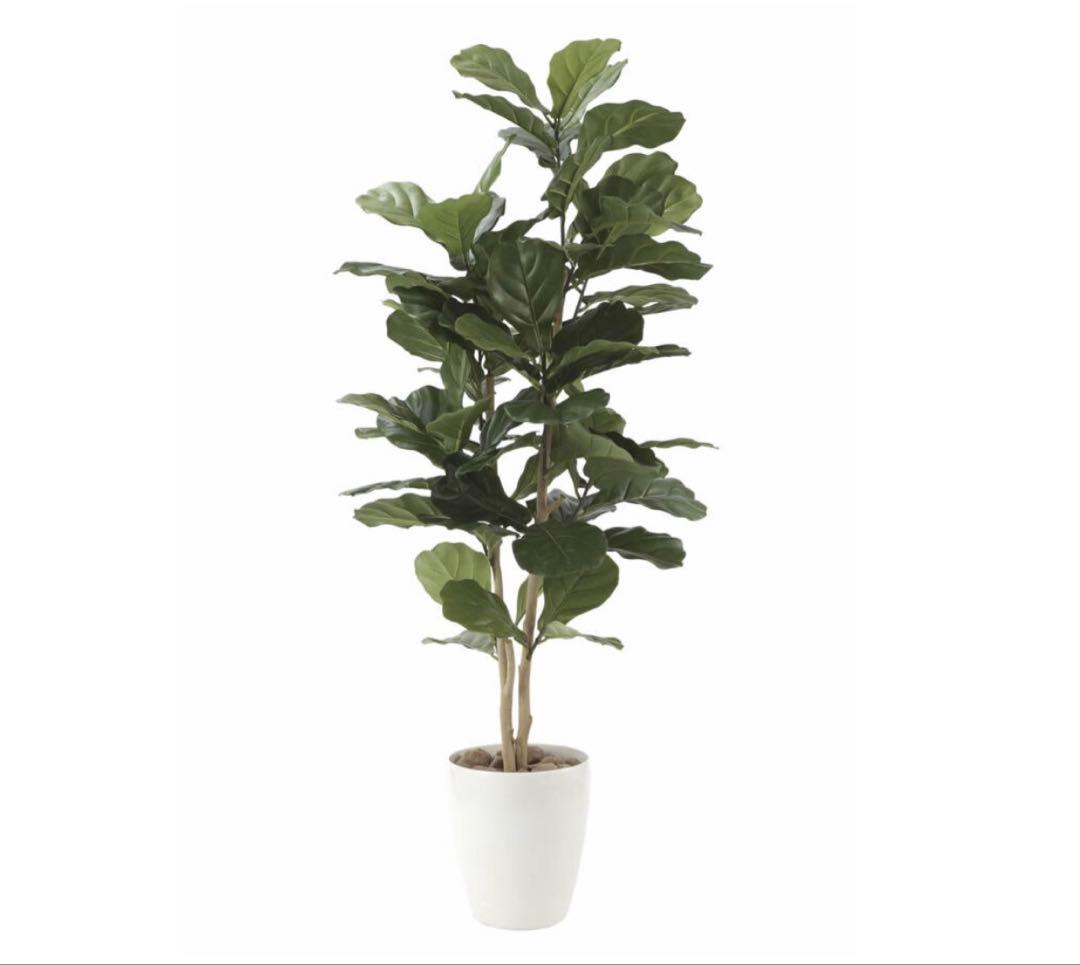 光触媒　人工観葉植物　ウォールグリーン　フェイクグリーン　カシワバゴム1.35m