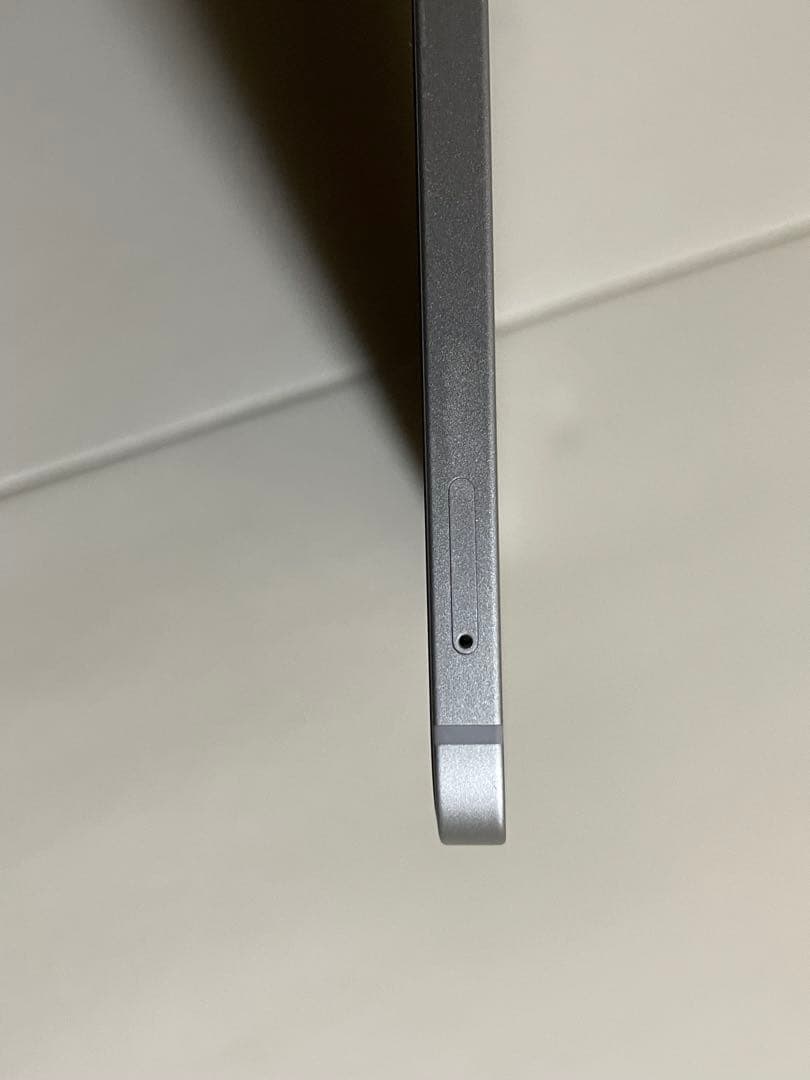 Apple iPad Pro 12.9インチ256GB 第5世代 SIMフリー