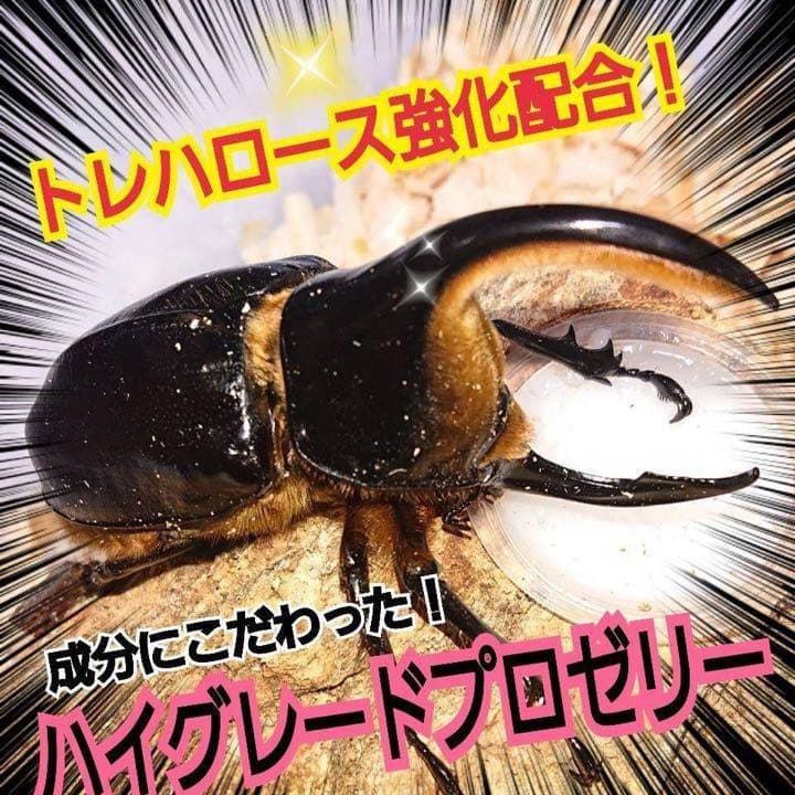 特選ハイグレードプロゼリー400個　産卵促進・長寿に抜群！食べやすいワイドカップ