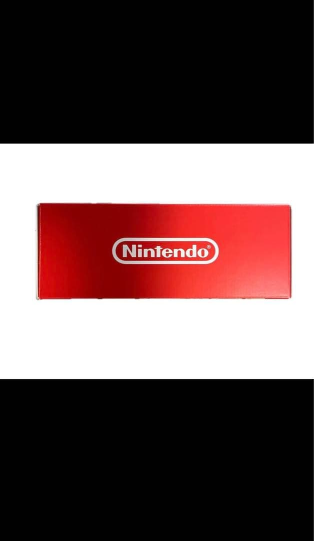 Nintendo Switch Lite ザシアン・ザマゼンタ