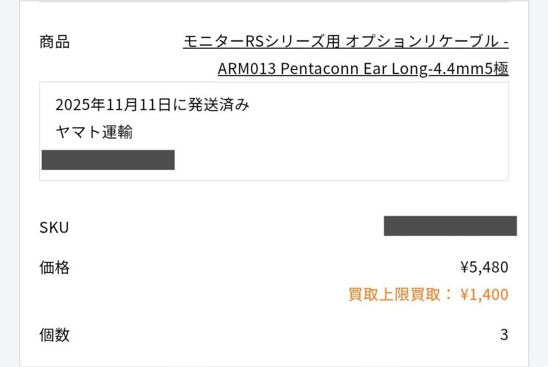 O2aid intime 雅 MarkII Pentaconn ear 美品