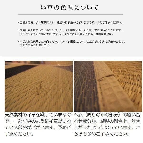 添島勲商店 国産 い草花ござ ラグ マハラジャ 約190×190cm　茶系