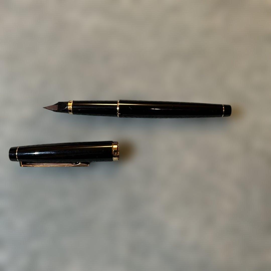 PILOT 万年筆 黒 透明ケース付き