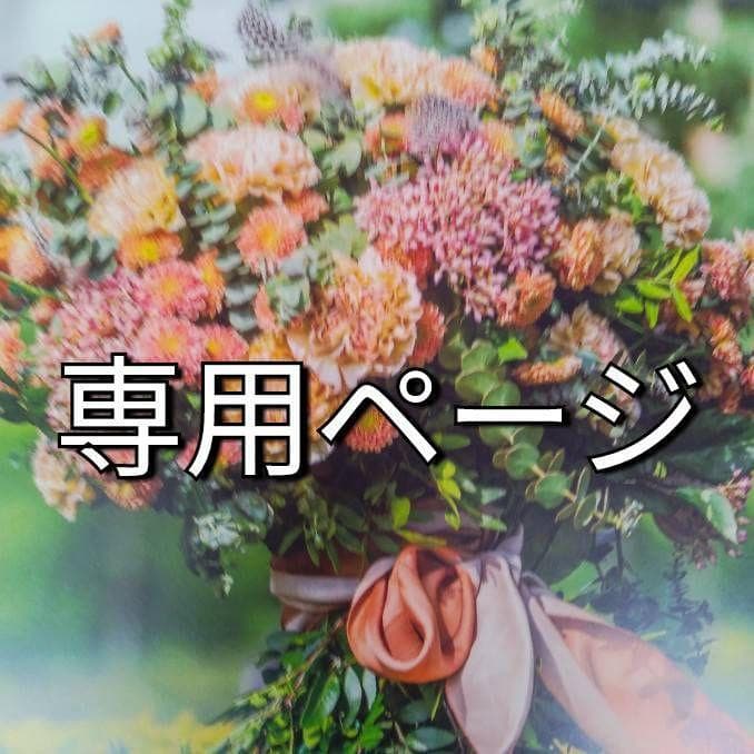 きな子/3