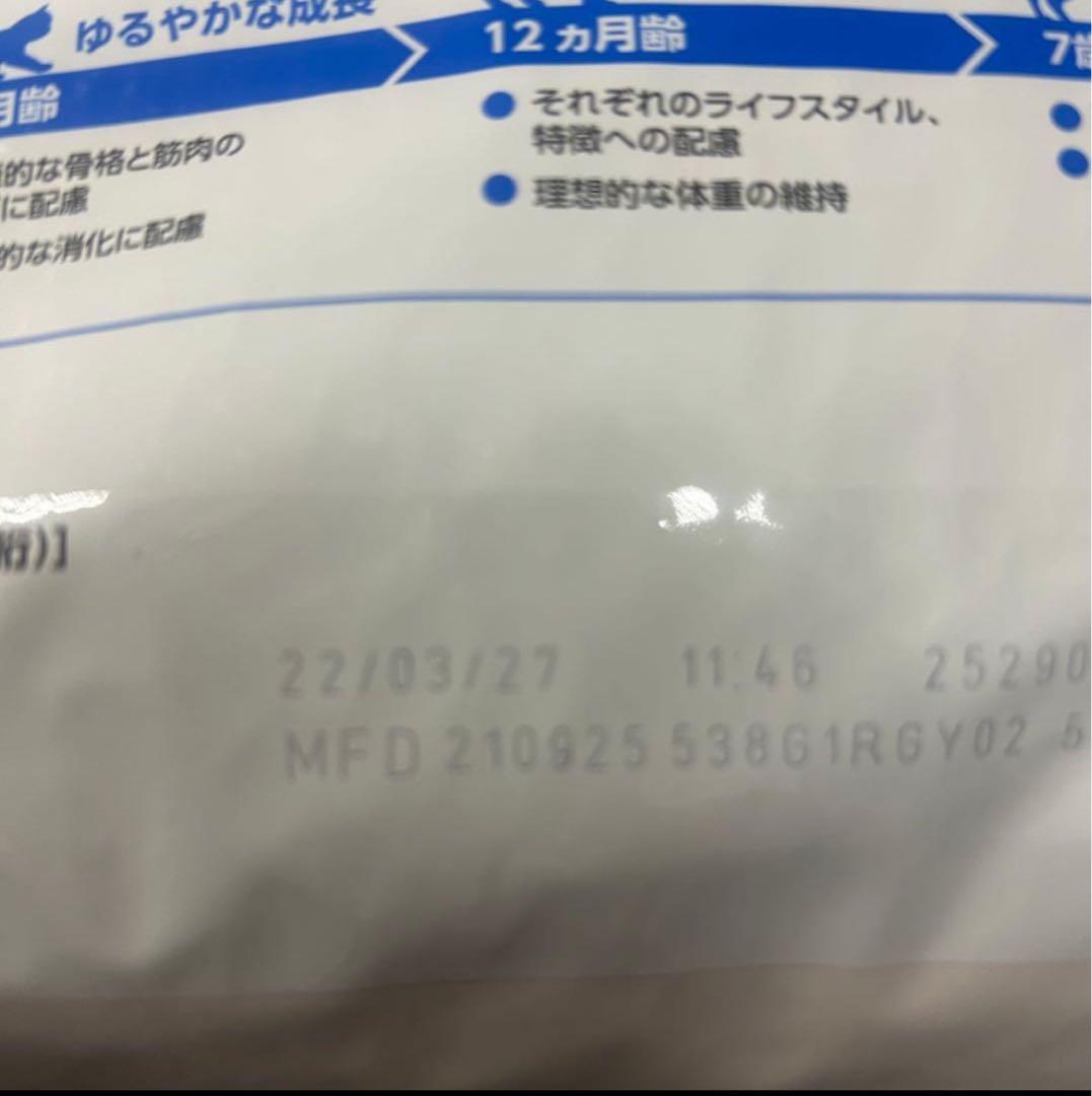 ロイヤルカナン　室内で生活する成猫用　インドア　 合計8kg