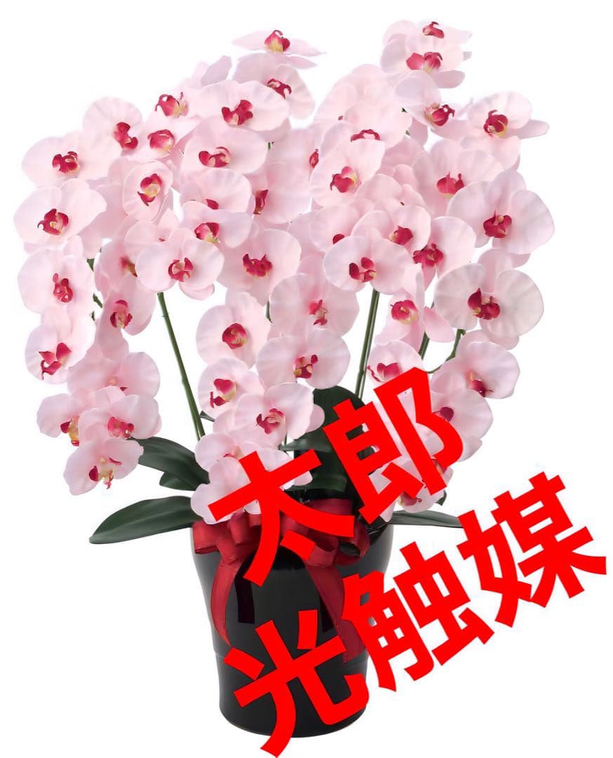 光触媒　人工観葉植物　フェイクグリーン　プレミアム胡蝶蘭5本立P