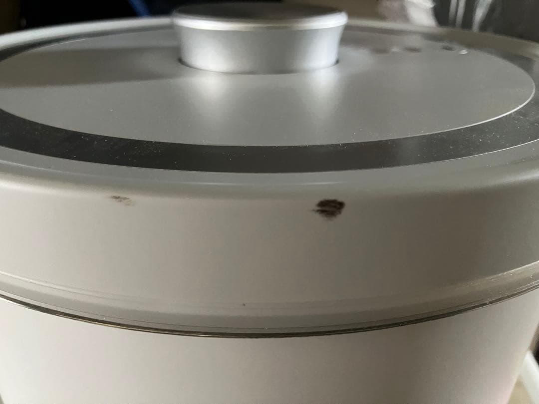 全自動真空保存容器 AUTO FRESH KEEPER 10㎏13L 美品