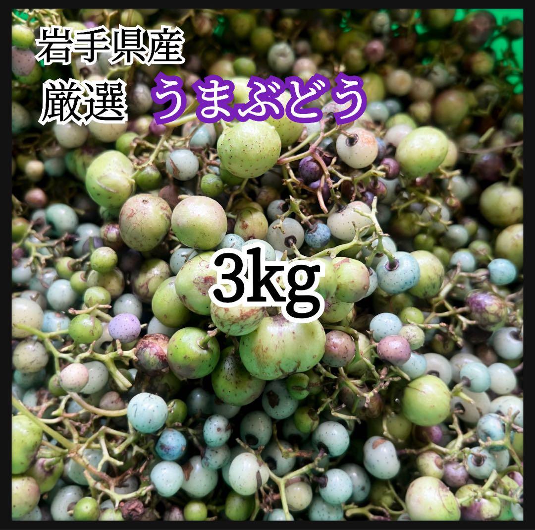 岩手県産 3kg うまぶどう　冷凍クール便　薬膳　うまぶどう酒