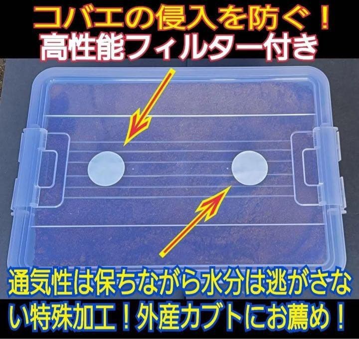 【2ケースセット】20Lボックス☆プレミアム発酵マット入り☆幼虫を入れるだけ！