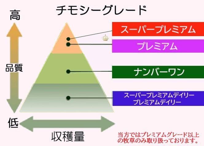 【6/15まで】US産 チモシー 50kg ２番刈 ソフトSプレミアム